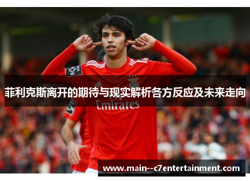 菲利克斯离开的期待与现实解析各方反应及未来走向