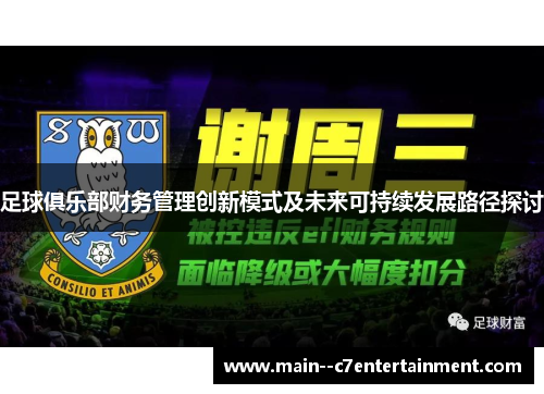 足球俱乐部财务管理创新模式及未来可持续发展路径探讨