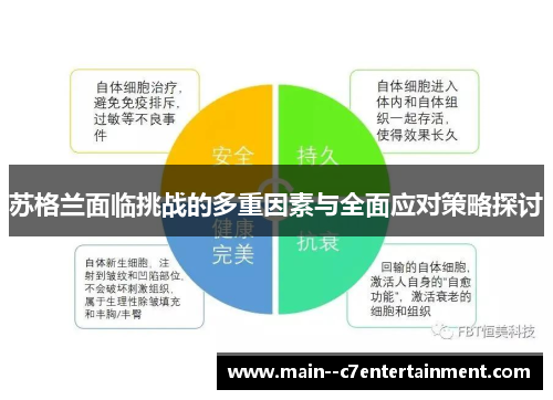 苏格兰面临挑战的多重因素与全面应对策略探讨