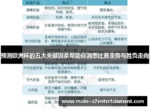 预测欧洲杯的五大关键因素帮助你洞悉比赛走势与胜负走向